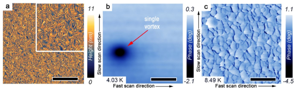 Как поймать квантовый вихрь: нанозонды, «рыбья кожа» и тайны сверхпроводников 5 6a0ecaffb0c812b6e6ef850672773ab6.jpg
