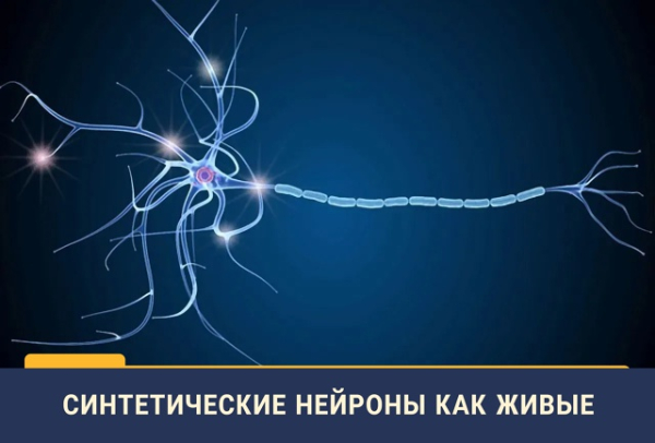 Наука долго шла к созданию&hellip;