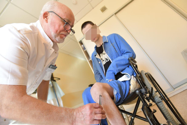 Пчелы против рака: действительно ли ядом можно лечить опухоли и фантомные боли?