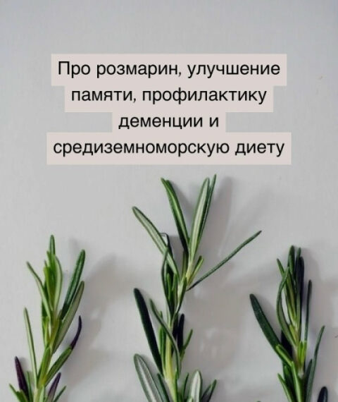 Про розмарин, улучшение памяти, профилактику&hellip;