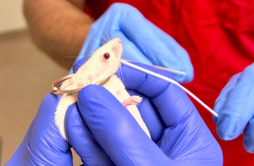 Зубная нить доставляет вакцину от&hellip;