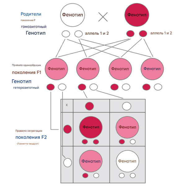 7006e0c9aafb75e4c886f35c2ad26ce7