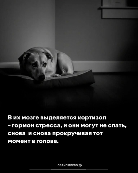 72e1580fdf47f2f142f0e7f2bfd8c426