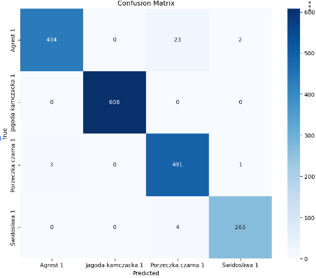 Визуальная классификация пыльцы с использованием сверточных нейронных сетей и Vision Transformers 11 74cfe2e84ccb858ccf49140675b6f915