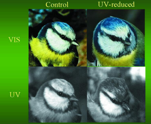 77e982d9af9d3daeeefaf012b870d61f