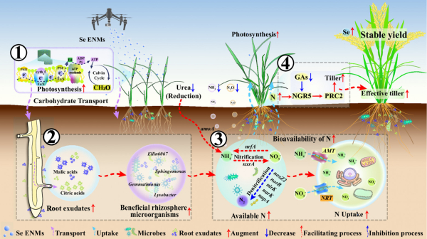 79c843e262b695f89a6e72b9d8c10053