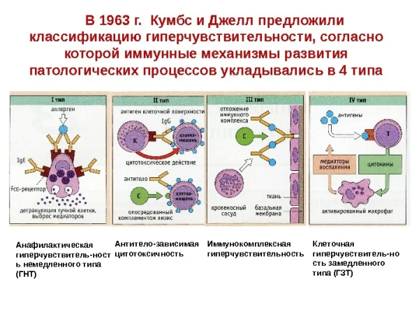 7b0a0dbe519e70ea4c68e390b93a2264