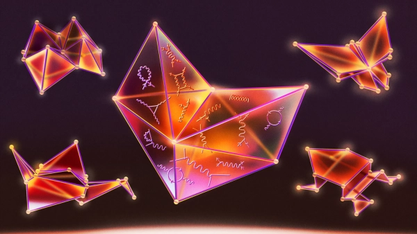 Модели оригами помогают решить сложную&hellip;