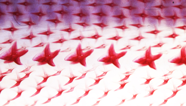 7bcd2d2853fc921804ec06d33c72e4f3