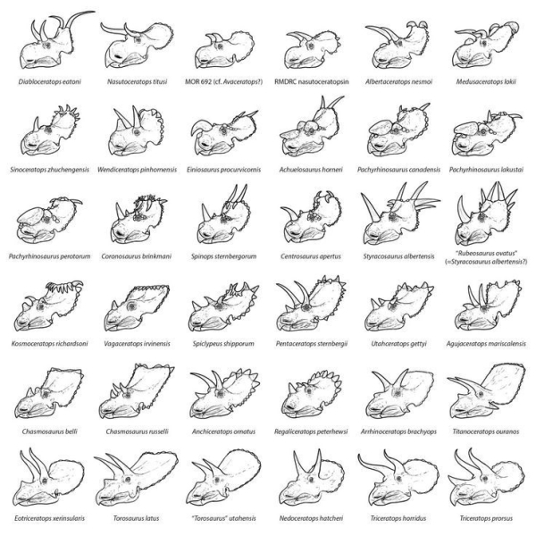 7cd2374841c61fa4f587f23839c63b48