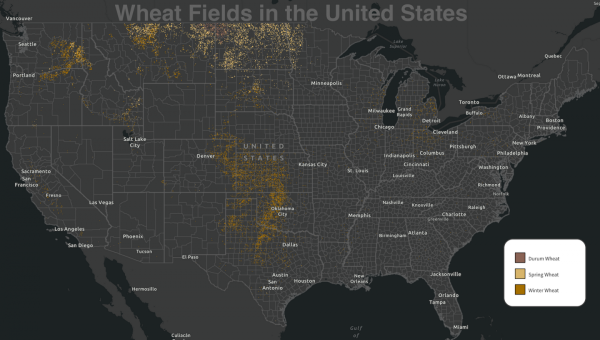 84eaadce1c29e187998ede15b49c5dcb