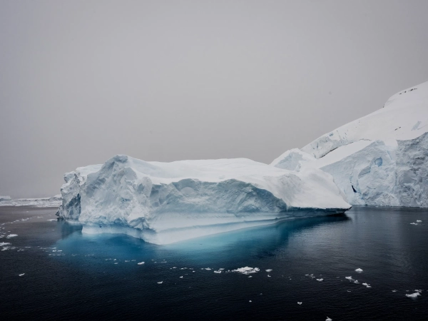 В новом отчете говорится, что&hellip;