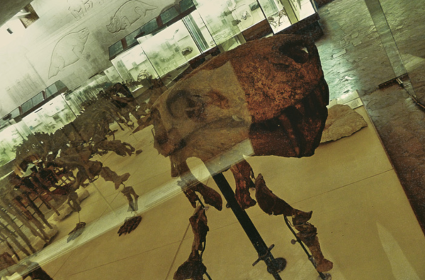 Кокетливая иностранцевия хочет с вами познакомиться  