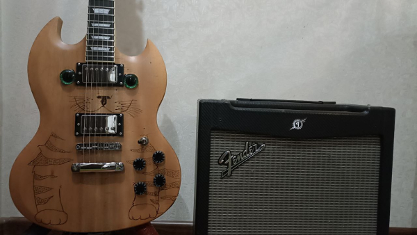 Кардинально меняем звучание гитарного звукоснимателя 11 8a1370d59a7b46e2222b8d5227f500cc