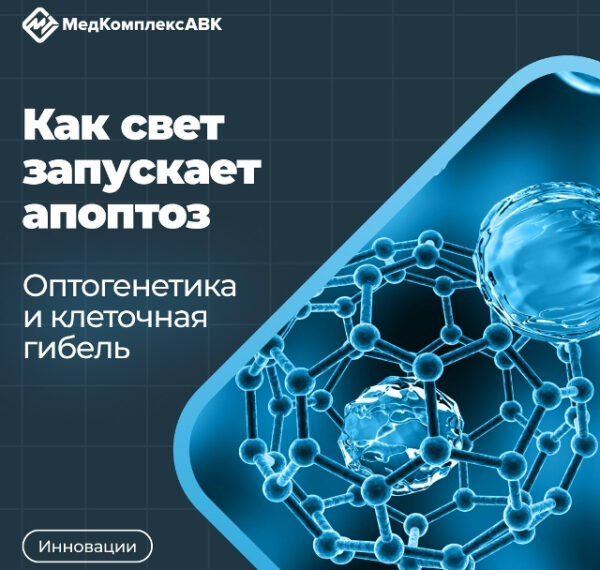 Смертельная оптогенетика: ученые из МФТИ&hellip;