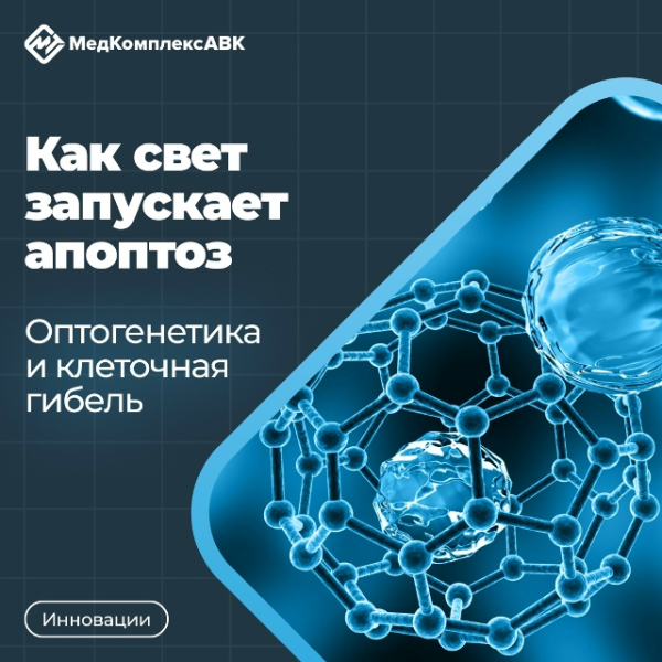 Смертельная оптогенетика: ученые из МФТИ изучили механизмы запуска программируемой клеточной гибели с помощью света 19 8a223f1d55bfd9fa01d27a2d01ceed3c.jpg