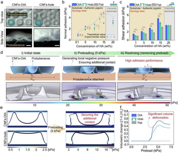 8f1f60154571bcc55e304c8fe343424f