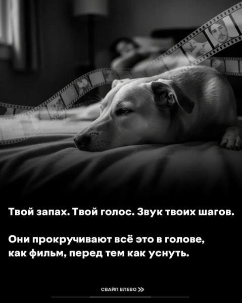 8fc17268c6daa563d7530cd4f11cc0ed