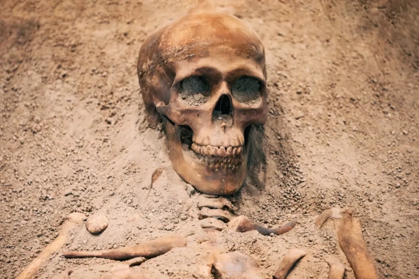 Воздействие свинца в древности могло повлиять на эволюцию нашего мозга 3 902d90c97d08a02446aba2ebe160be81.jpg