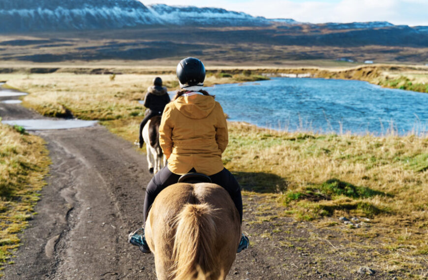 Лошади стали нежными и легкими&hellip;