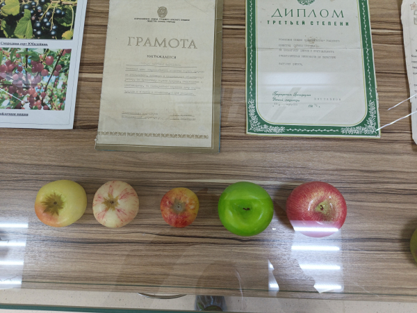 948090fbe2fa35f7792f41aab73c6dcb