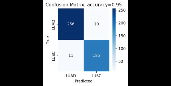 Как классифицировать подтип рака легких по количеству копий ДНК с помощью PyTorch 5 970ec1b219344e3cd35aa15dc48358c5