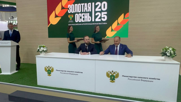 98d4d043df84fb6a84cca1e63efb085c