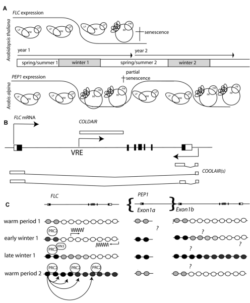 996bdb62971f39e677db9451ce857e37