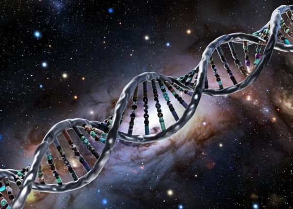 Учёный утверждает, что обнаружил доказательства&hellip;