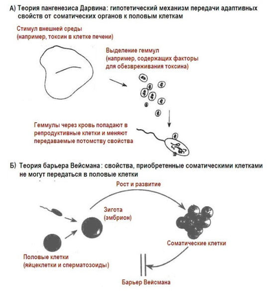 9b71163fa1a45a0e9a1eb2647b297ea5