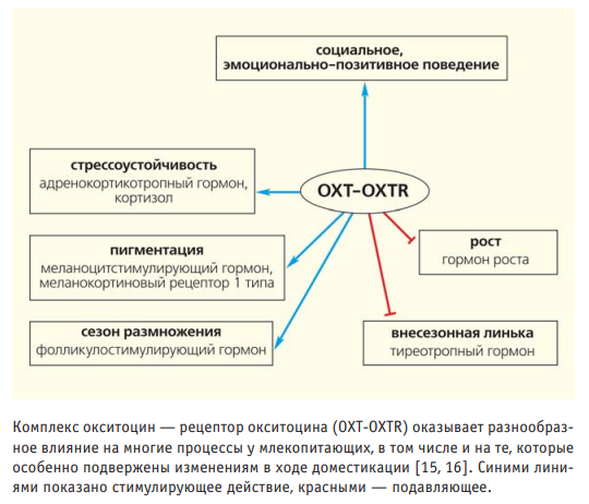 a36e87acd7c8b69caab47b3350d84830