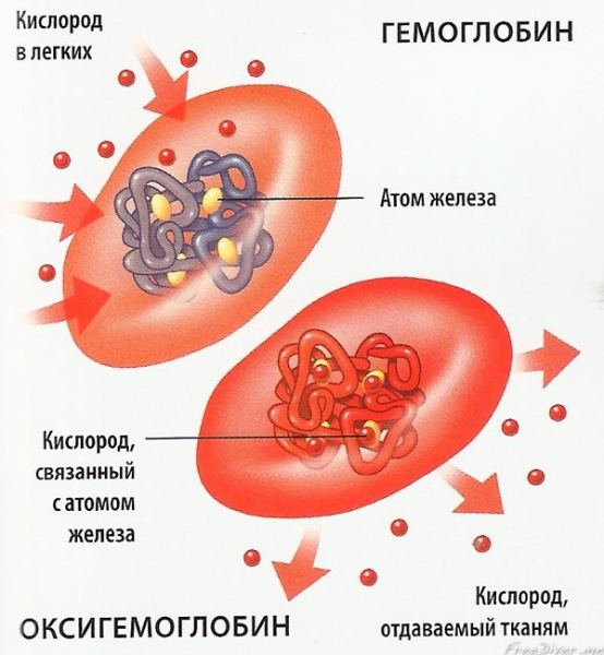 Дыхание кобальта или кристаллы, нашпигованные кислородом 1 a45b82fe124b38ff71dc367c462f7ab1