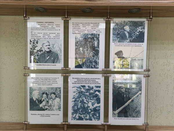 a4a15c239bd484101cd6a91379e24d17