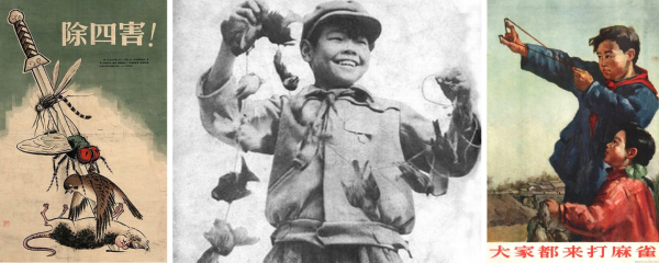 a5b0efacf46bfa8a7fc3ab838d4dcf56