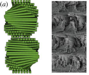 Bharath Natarajan, Jeffrey Gilman Bharath Natarajan, Jeffrey Gilman