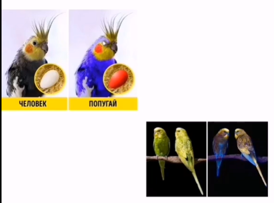 ac1142923509a2c48d403417c9c151ae