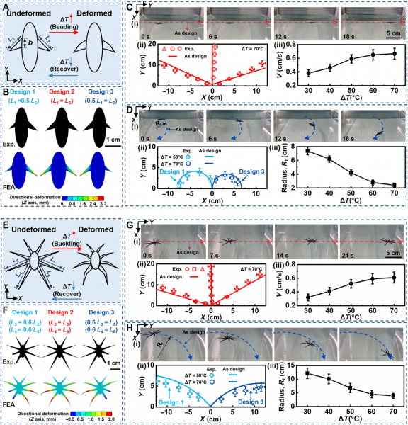 ace2cac979179a67d041f27f7985a491