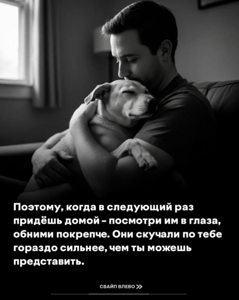 ae728f163e4f81b69df6b11dd8cc1c97