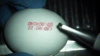 aec73f11108b4ac694e64630723a5eec