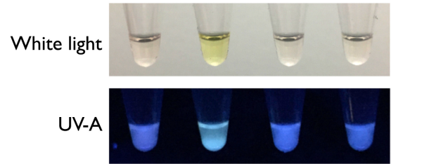 aef96457a501d19d3dbbc21aa6af02d4