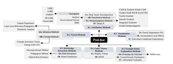 Классификация post-hoc методов. Источник изображения. Классификация post-hoc методов. Источник изображения.