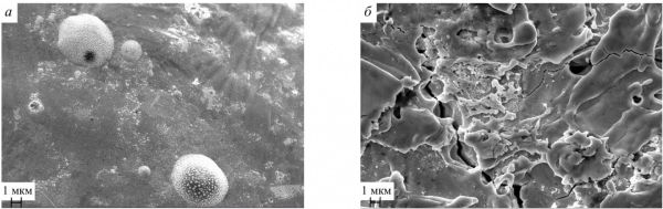 Рисунок 2. Поверхность висмута на вольфраме (а) и вольфрама без висмута (б) после воздействия водородным плазменным потоком. Источник: «Вопросы атомной науки и техники. Серия: Термоядерный синтез».