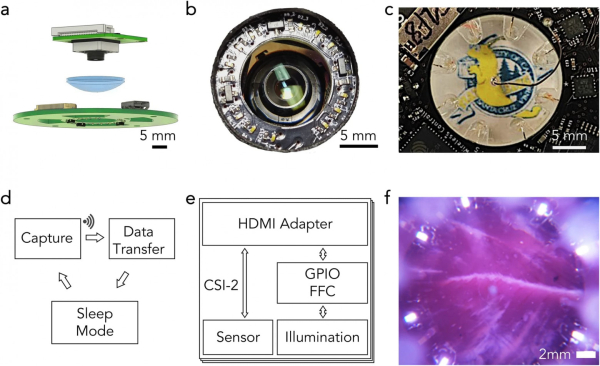 b32d692114cd2b1e1cd28aeed9795a80