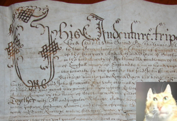 А чо? А в смысле? А чо? А в смысле?