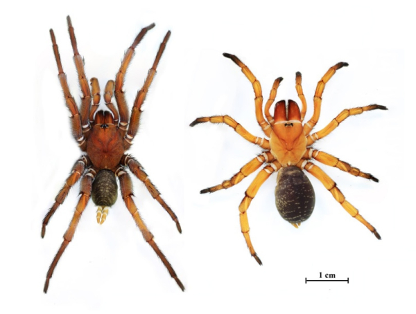 ba9668057833b578e25df44435534b6a