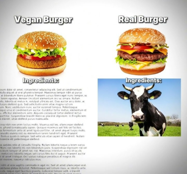 Предлагаю веганам нанести ответный удар и запретить обзывать либералов «соевыми» – ведь те, на самом-то деле, состоят из мяса!