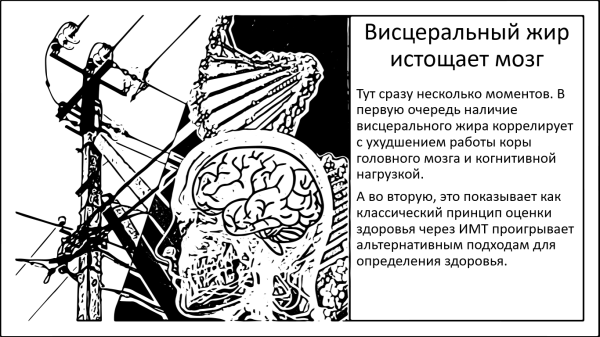 Как висцеральный жир истощает мозг