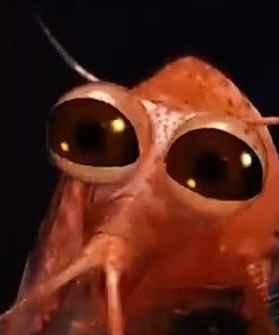 ПОЧЕМУ (почти) НЕТ МОРСКИХ МУХ?&hellip;