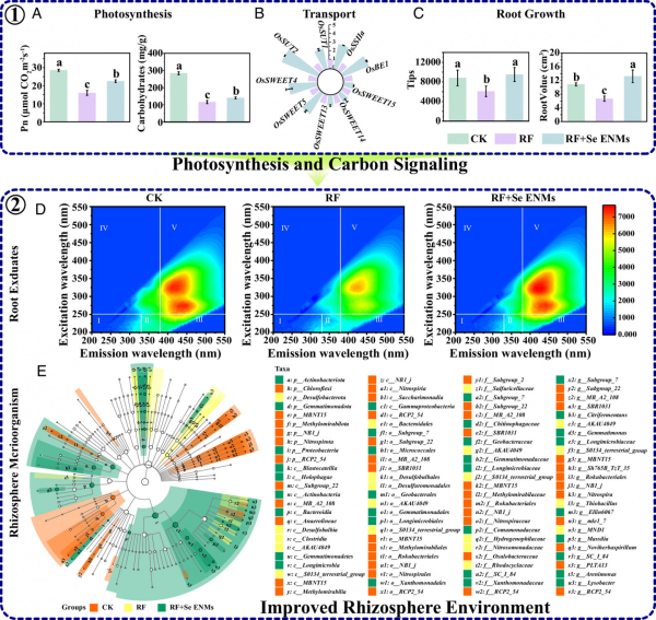be39452817edc546e45af7a77e85fd9d
