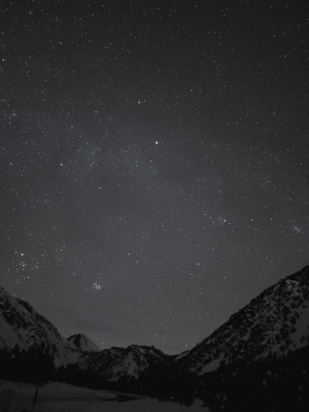 Снято мобильником, автор Макс Кива Снято мобильником, автор Макс Кива